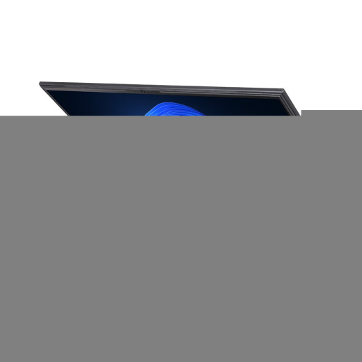 TERRA MOBILE 1716R i5-1334U W11P CH (CH1220854)