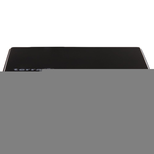 TERRA PC-MICRO 3100 SILENT GREENLINE ()